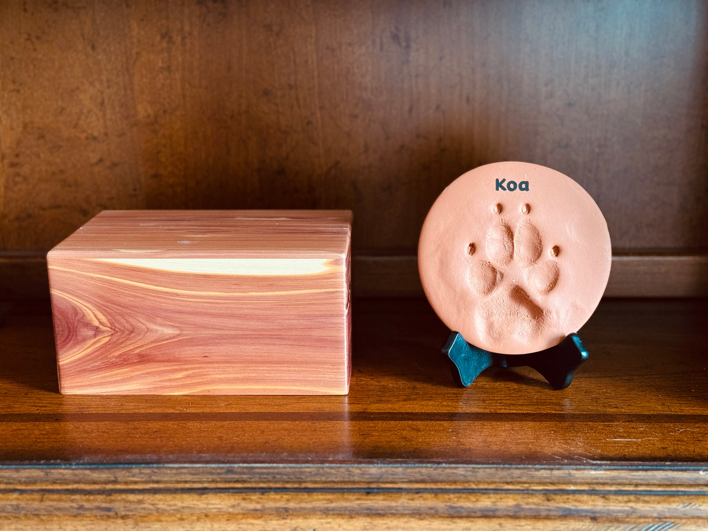 Terracotta Clay Paw Print