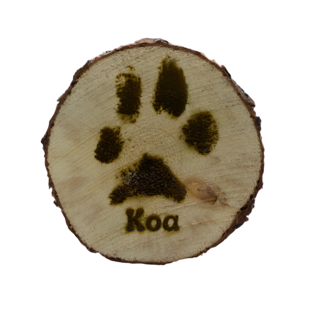 Colorado Pine Engraved Paw Print