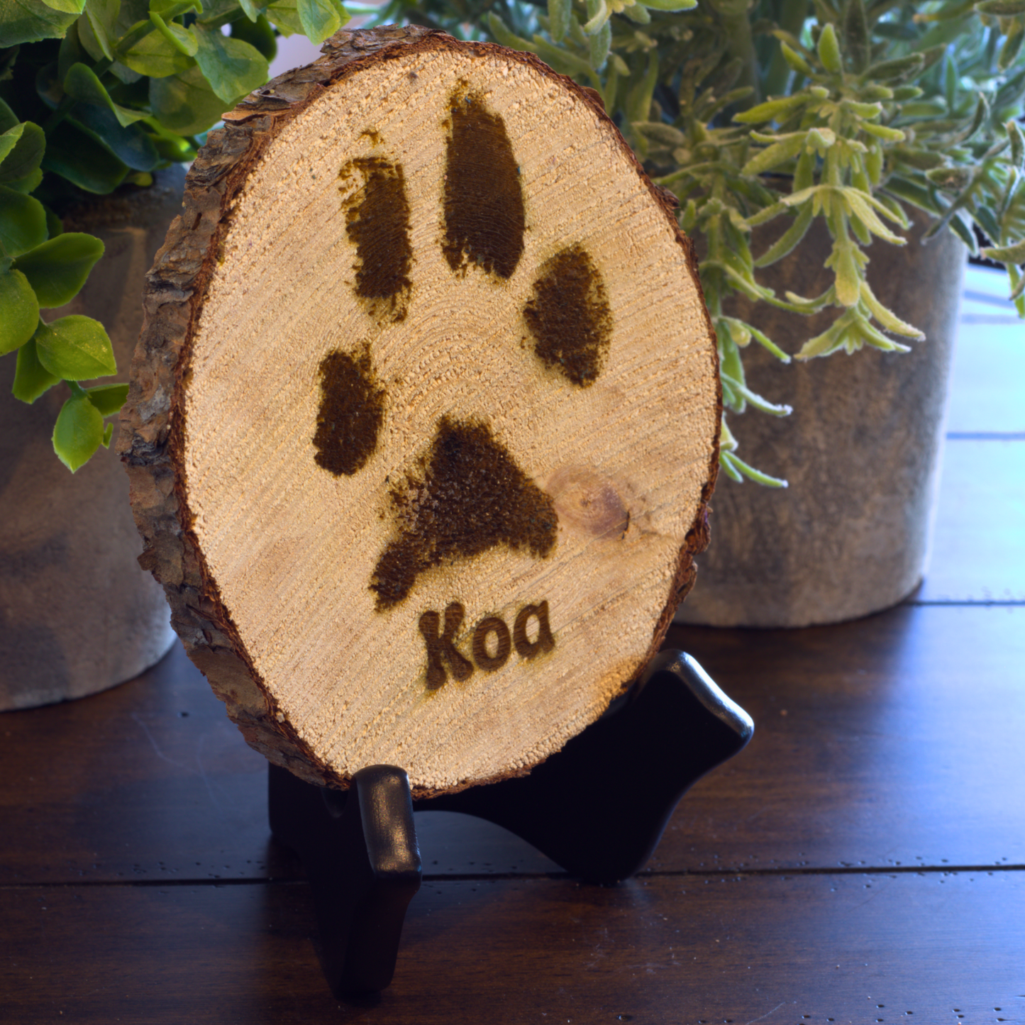 Colorado Pine Engraved Paw Print